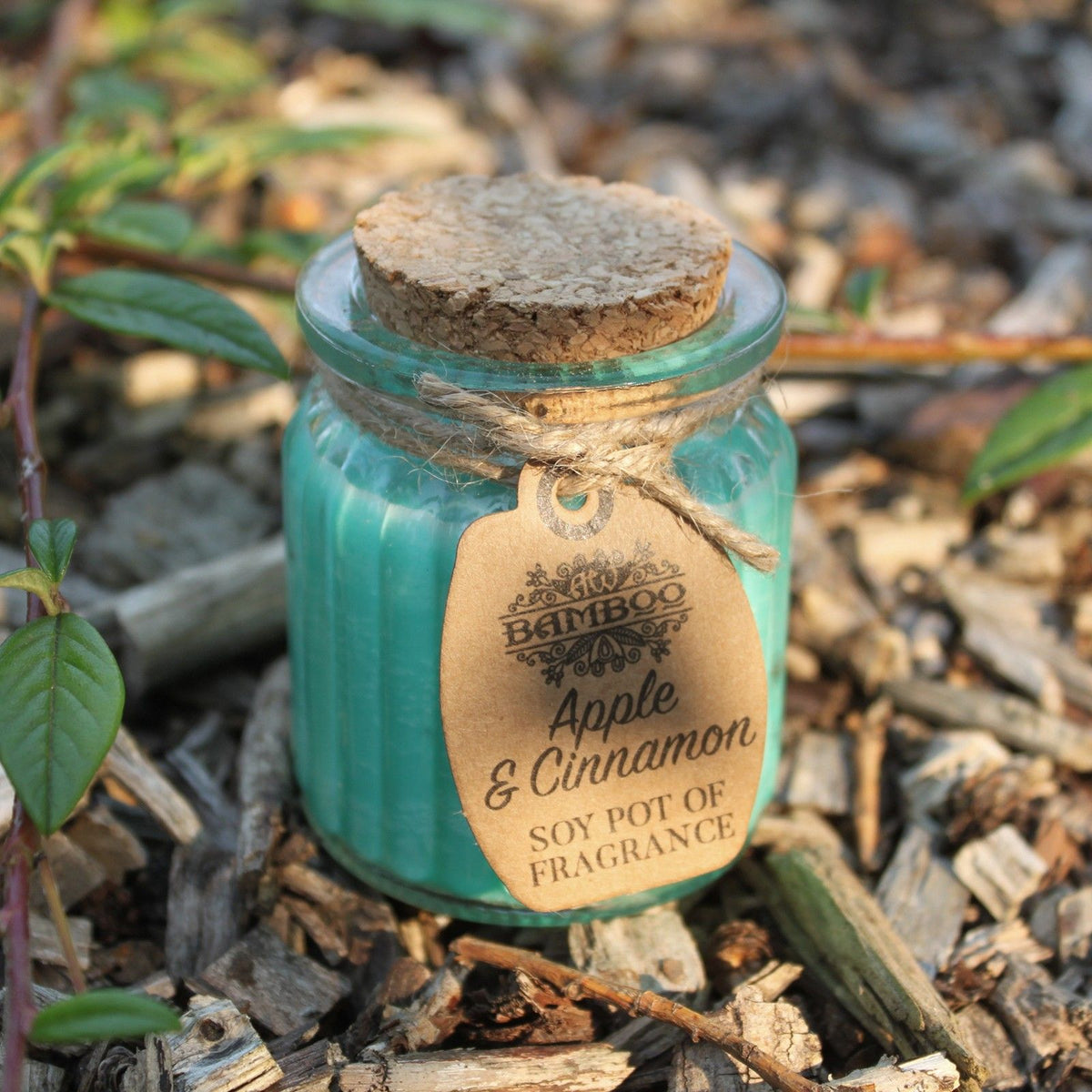 Apple and Cinnamon Soy Wax Fragrance Candle Pot – view 3