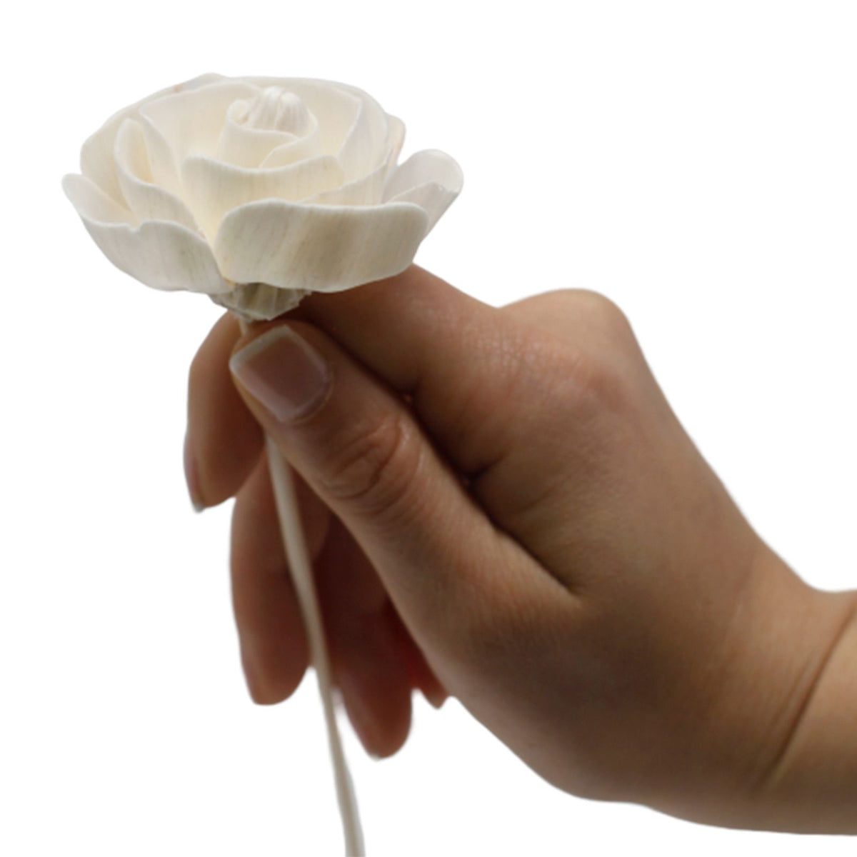 Sola Wood Rose Diffuser Reeds, Set of 4 – view 11