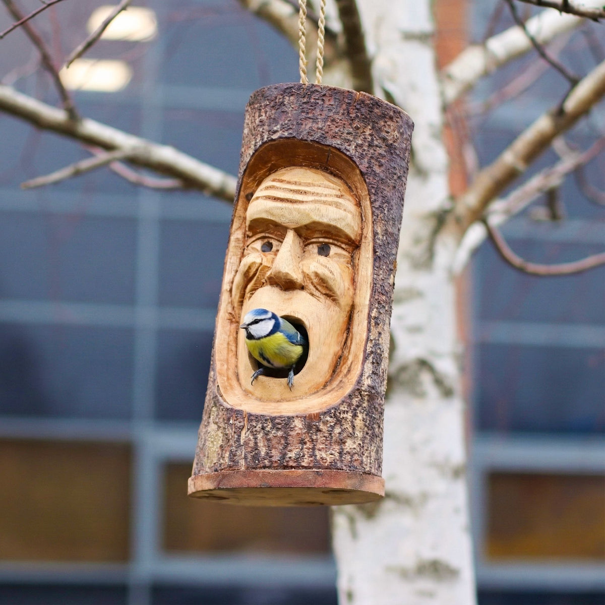 Carved Tree Trunk Birdhouse, Grumpy Old Man Face – view 4