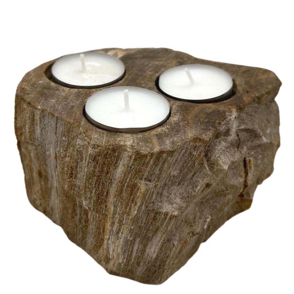 Petrified Wood Candle Holder - Triple Tealight – view 3