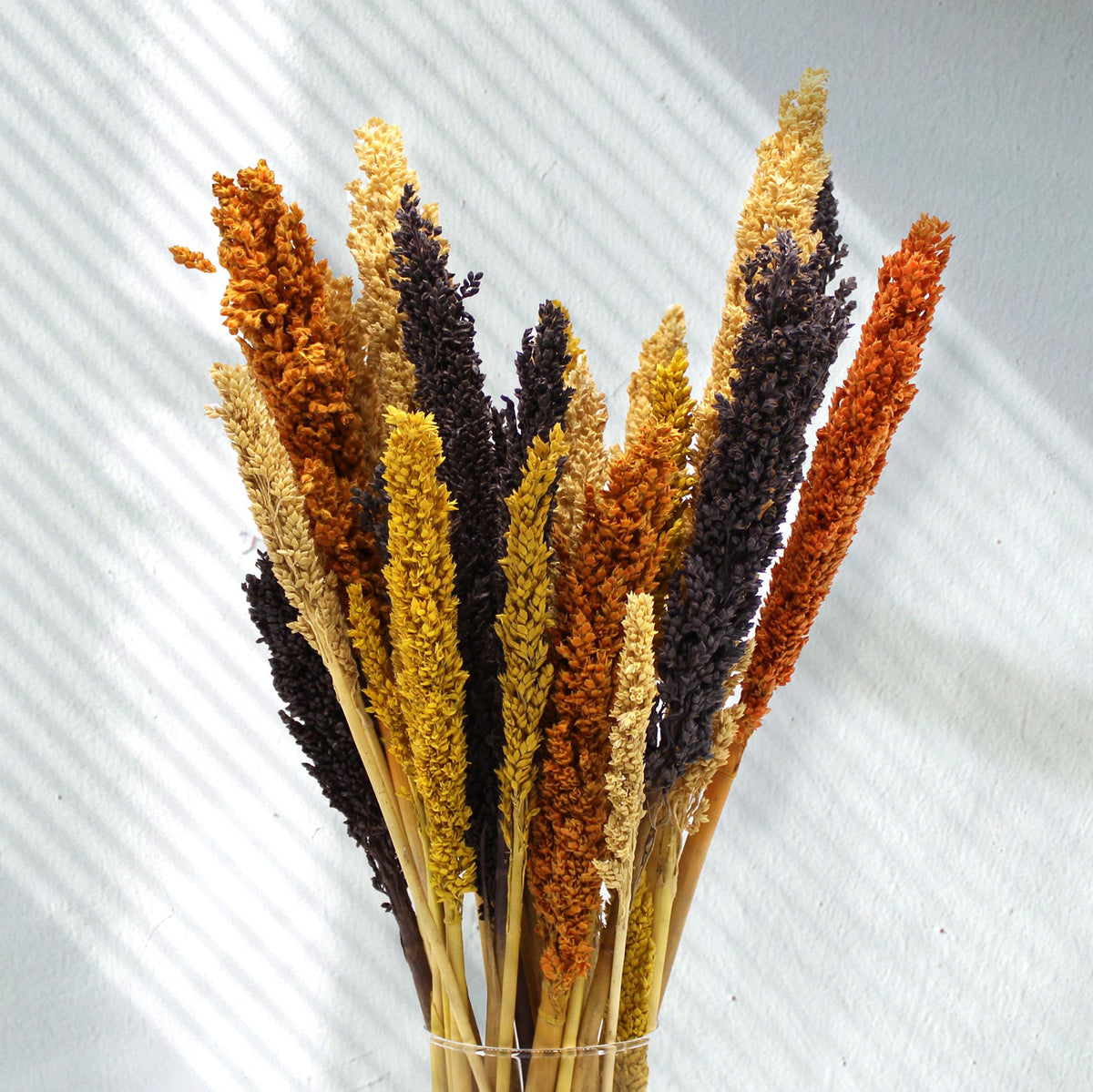 Cantal Grass Bunch - Orange (Set of 6) – view 5