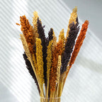 Cantal Grass Bunch - Black (Set of 6)