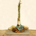 Molten Glass Tall Vase on Wood – view 5
