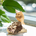Parasite Wood Carving - Owl on a Natural Base