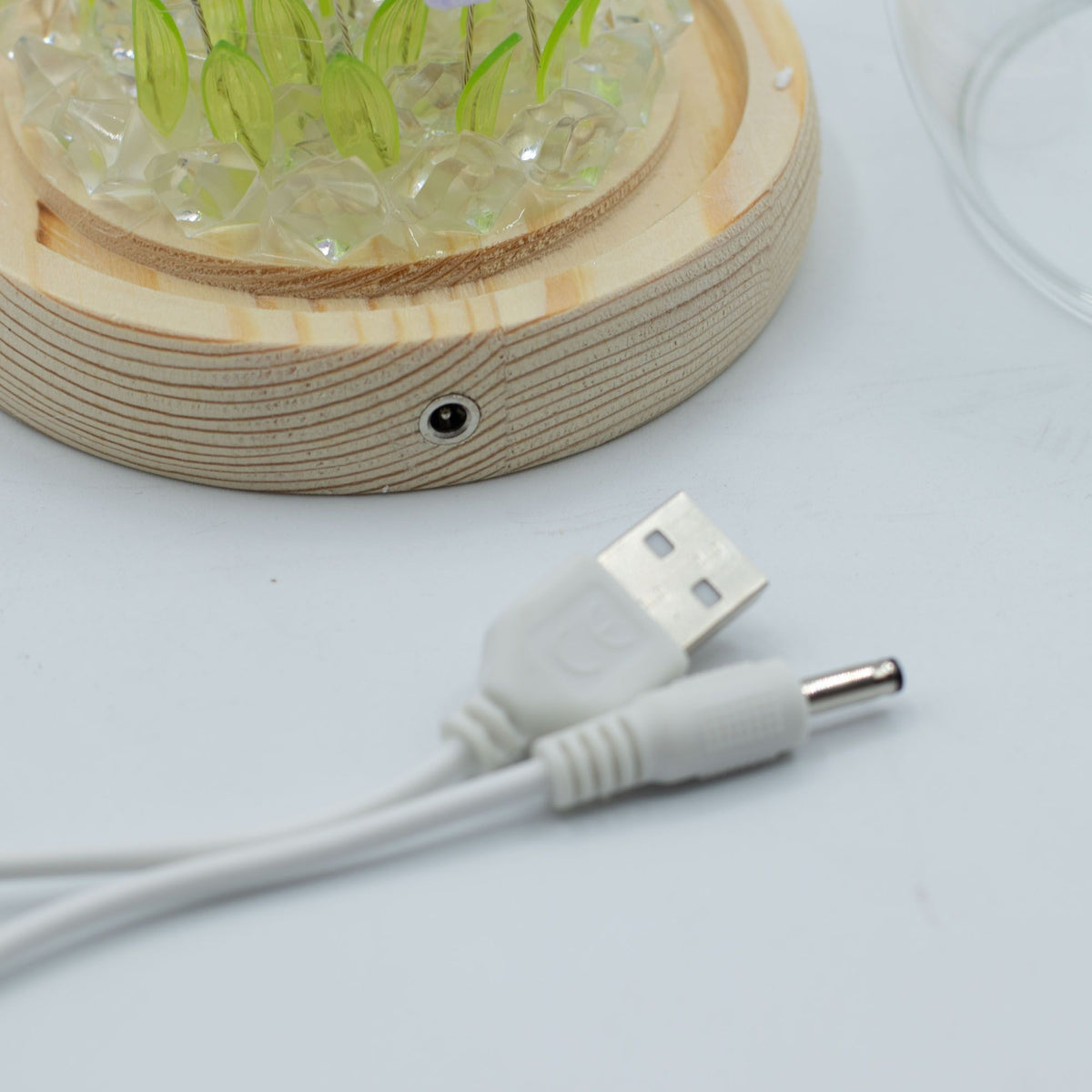 Floral Glow Dome - Tulips, LED USB