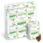 Stamford Plant Based Incense Cones - Citronella & Lemongrass (12 Pack)
