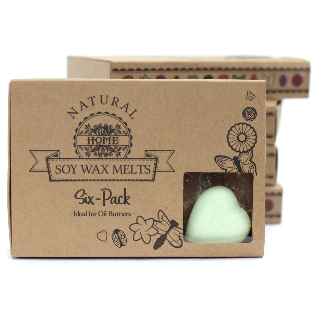 Watermelon Fresh Wax Melts Gift Box of 6