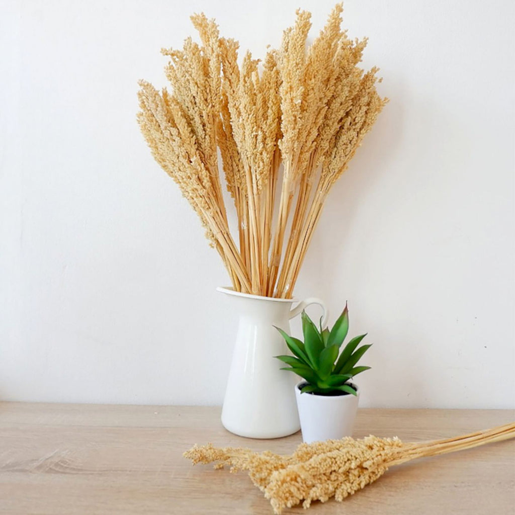 Cantal Grass Bunch - Natural (Set of 6) – view 5