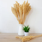 Cantal Grass Bunch - Natural (Set of 6) – view 5