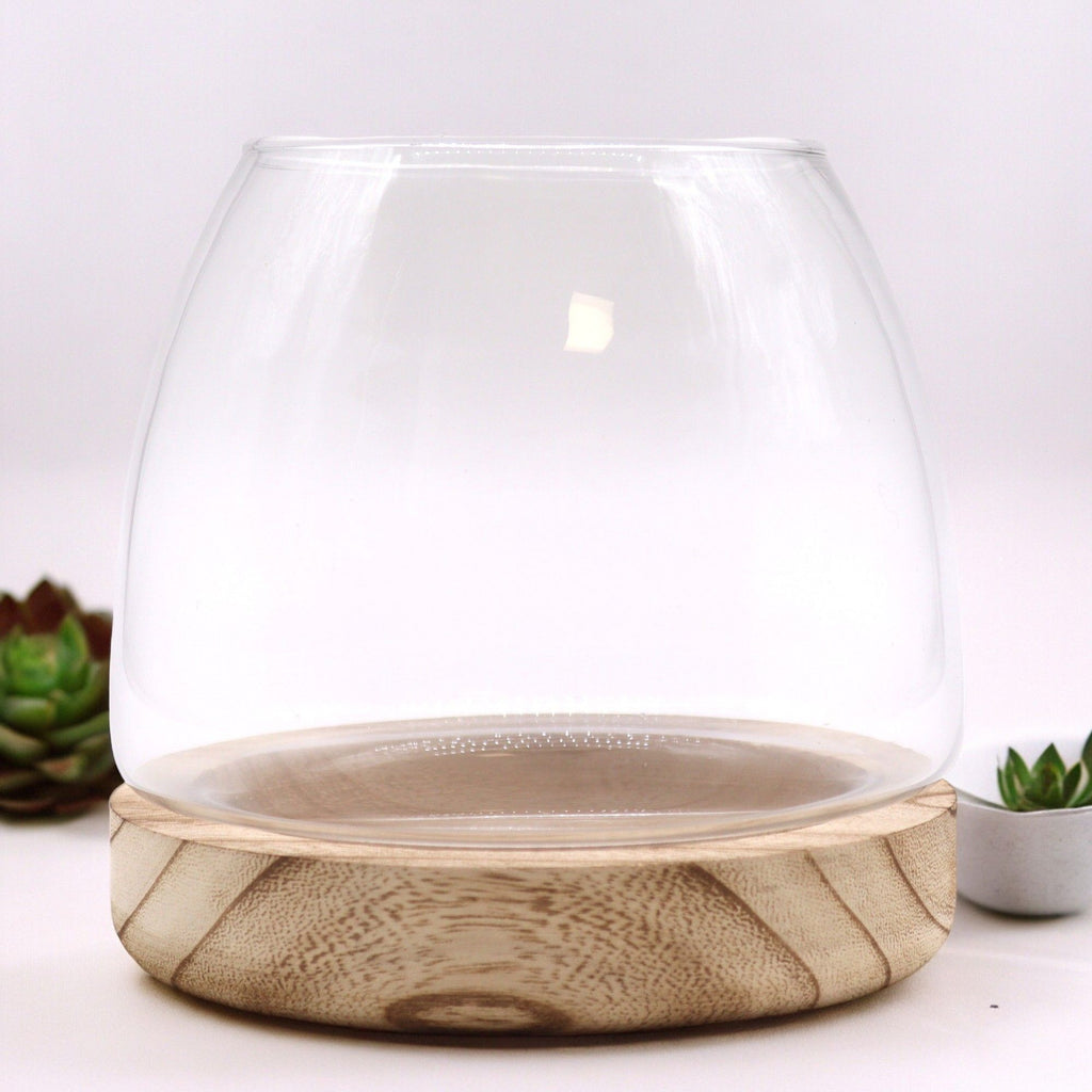 Medium Terrarium, Natural Tung Wood, 15x15cm