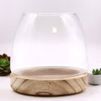 Medium Terrarium, Natural Tung Wood, 15x15cm