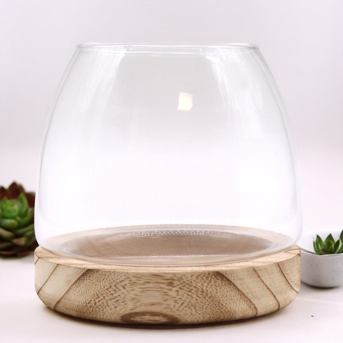 Medium Terrarium, Natural Tung Wood, 15x15cm