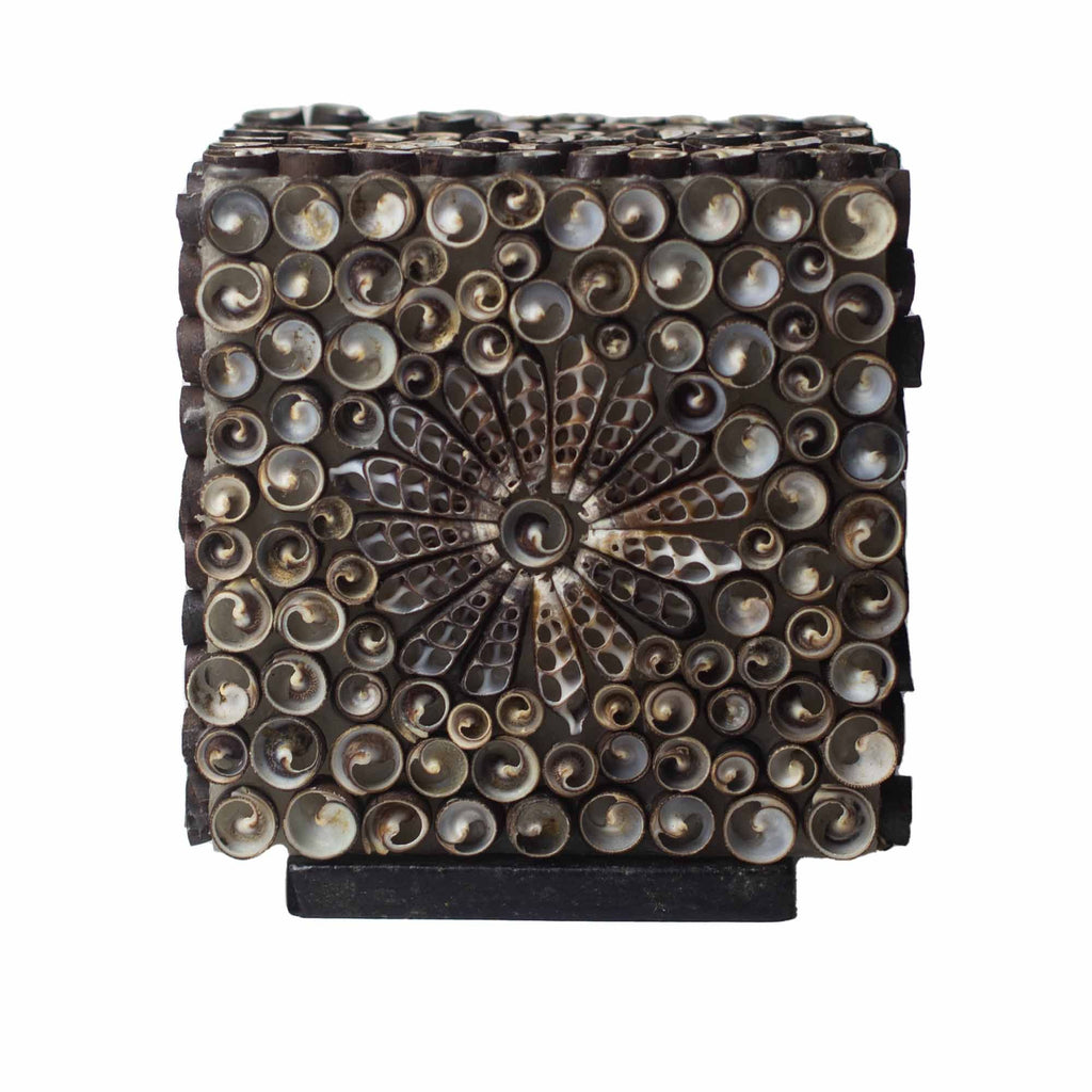 Boho Seashell Lamp - Chocolate Twist Square, 15cm
