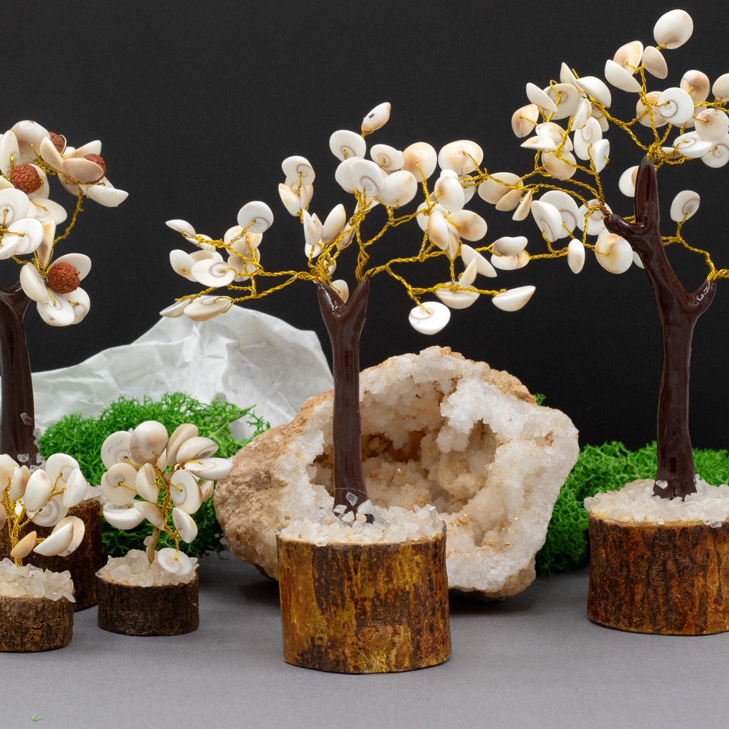 Medium Gomati Chakra Stone Tree, 45 Stones