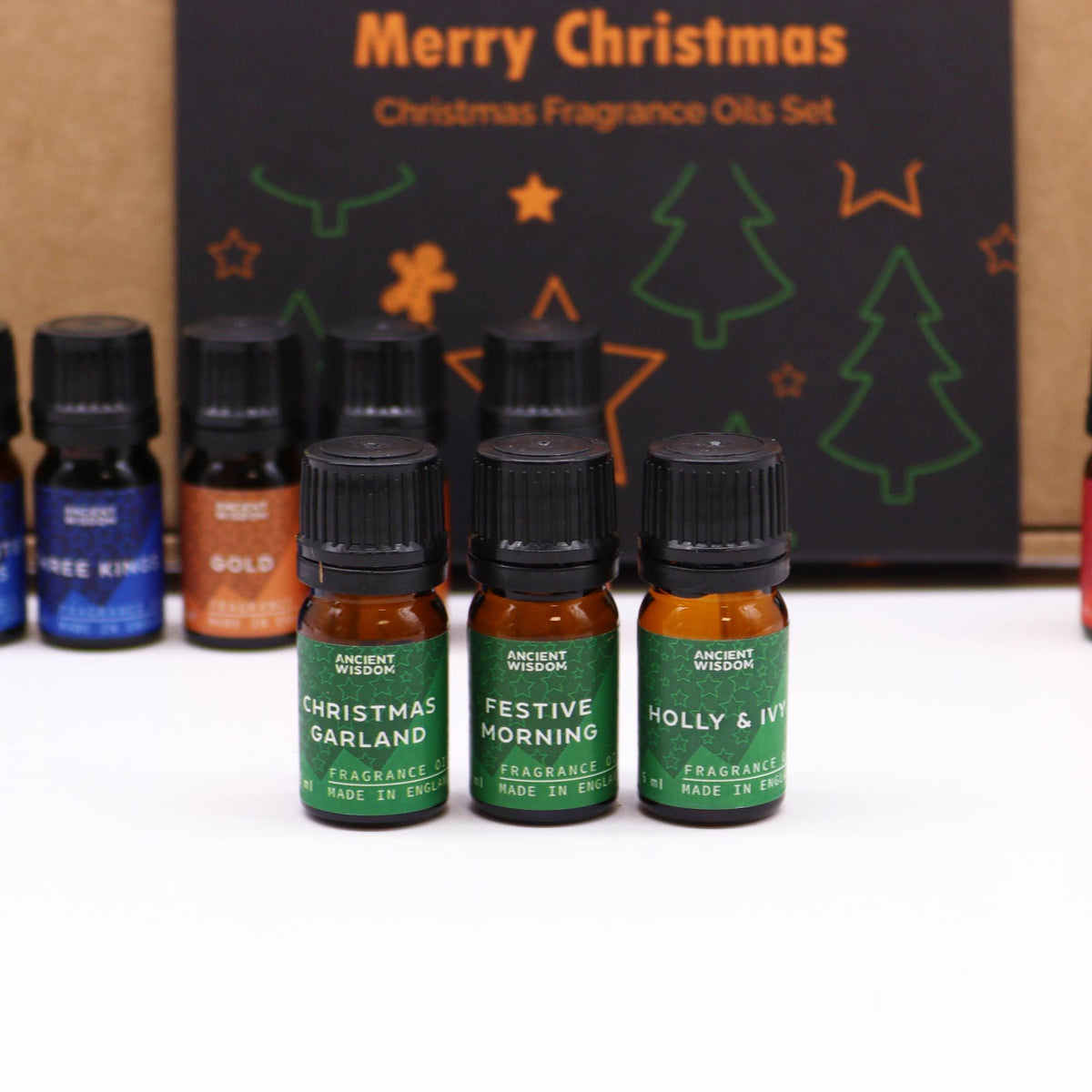 Holy Scents of Christmas Fragrance Oils Set of 12 – view 5