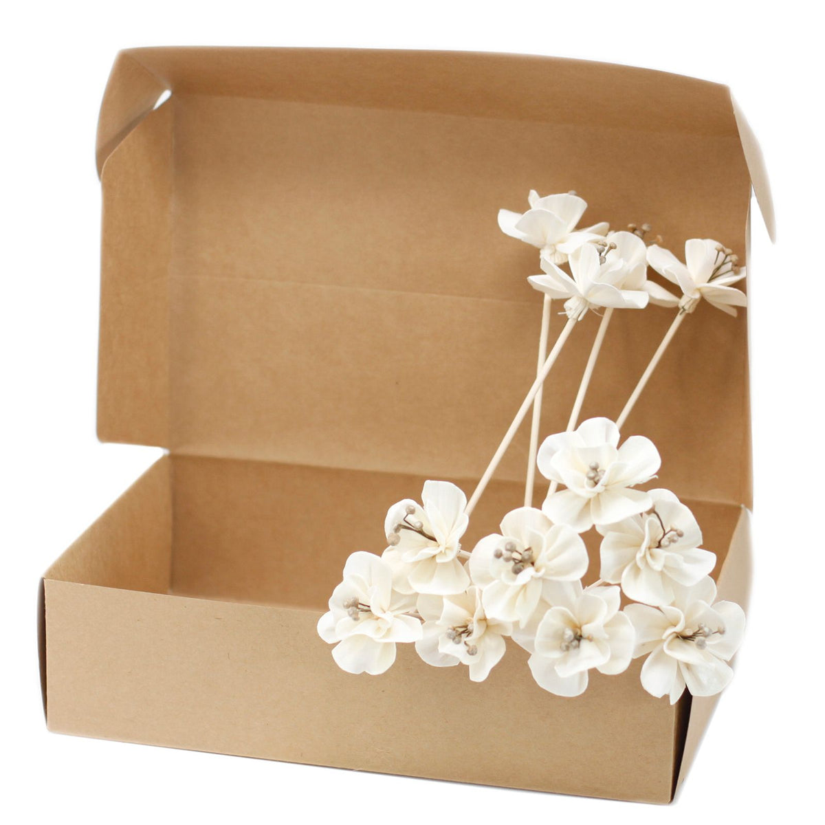 Sola Wood Lily Diffuser Reeds, Set of 4