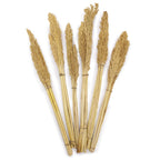 Cantal Grass Bunch - Natural (Set of 6) – view 4