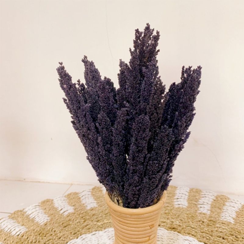Cantal Grass Bunch - Black (Set of 6) – view 5