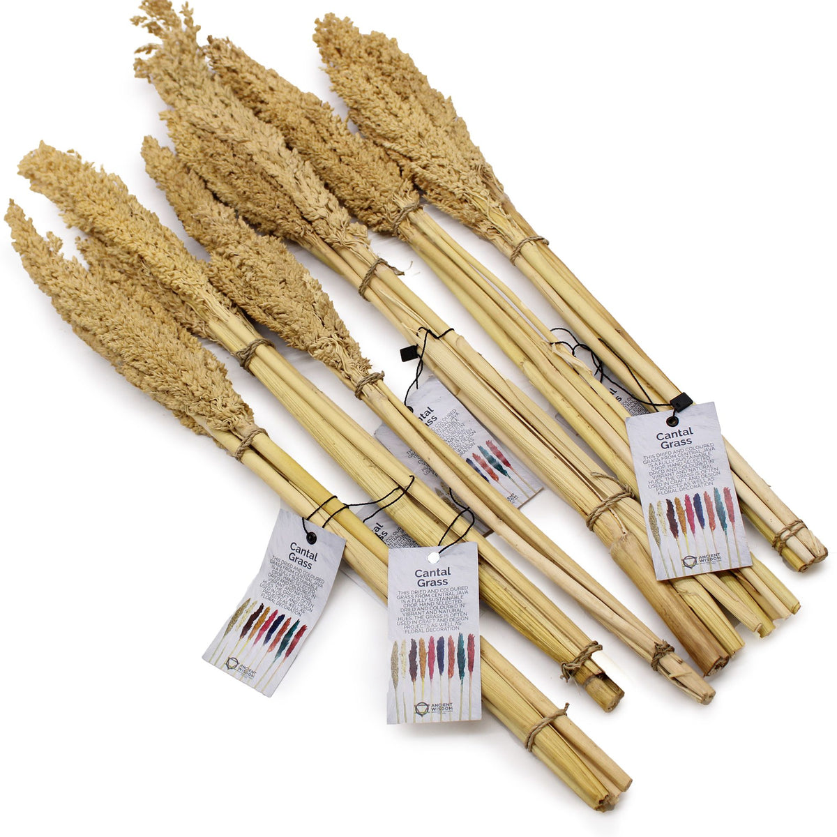 Cantal Grass Bunch - Natural (Set of 6) – view 7