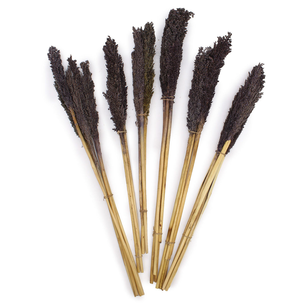 Cantal Grass Bunch - Black (Set of 6) – view 4