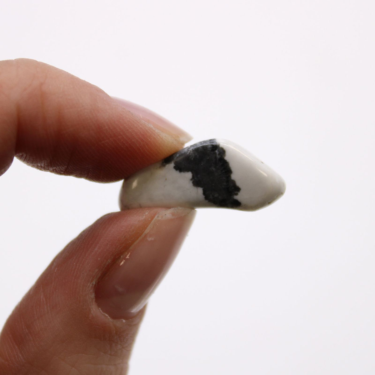 Bag of 24 Small African Howlite & Magnesite Tumbles