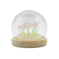 Floral Glow Dome - 10 Pink Roses, LED USB