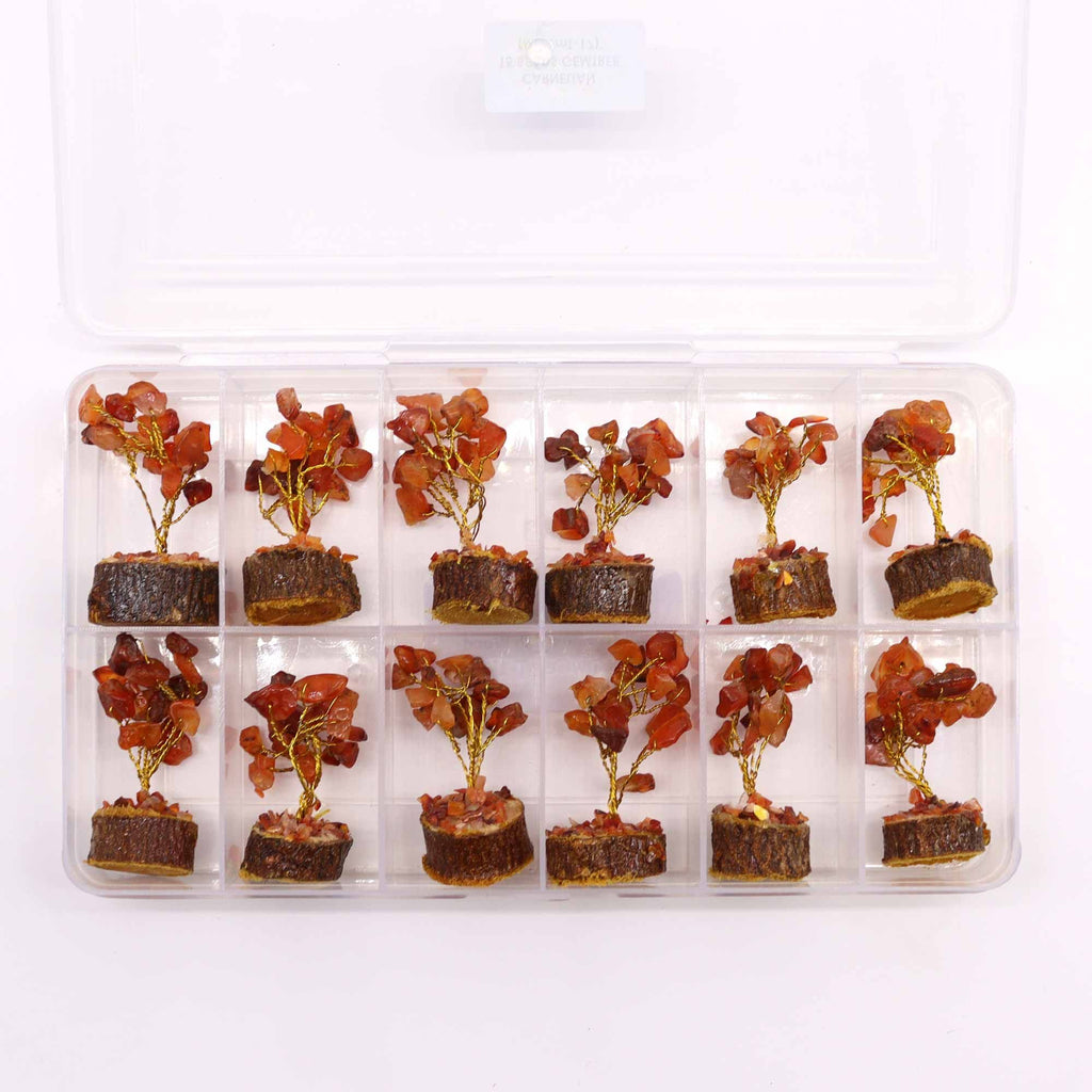Carnelian Mini Gemstone Tree on Wood Base, 15 Stones – view 6