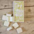 Agnes + Cat Citrus Soy Wax Melts, Box of 8 – view 2