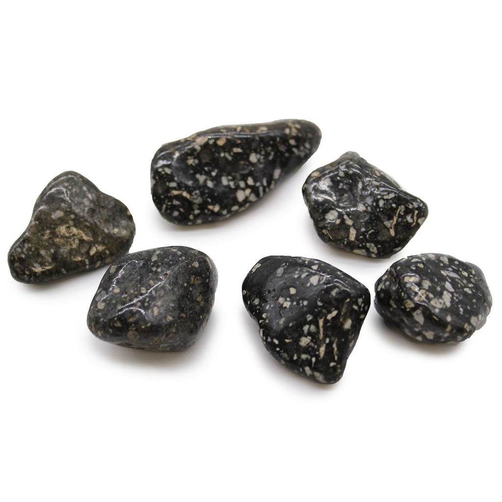 Bag of 6 Large African Tumble Stones - Guinea Fowl Jasper