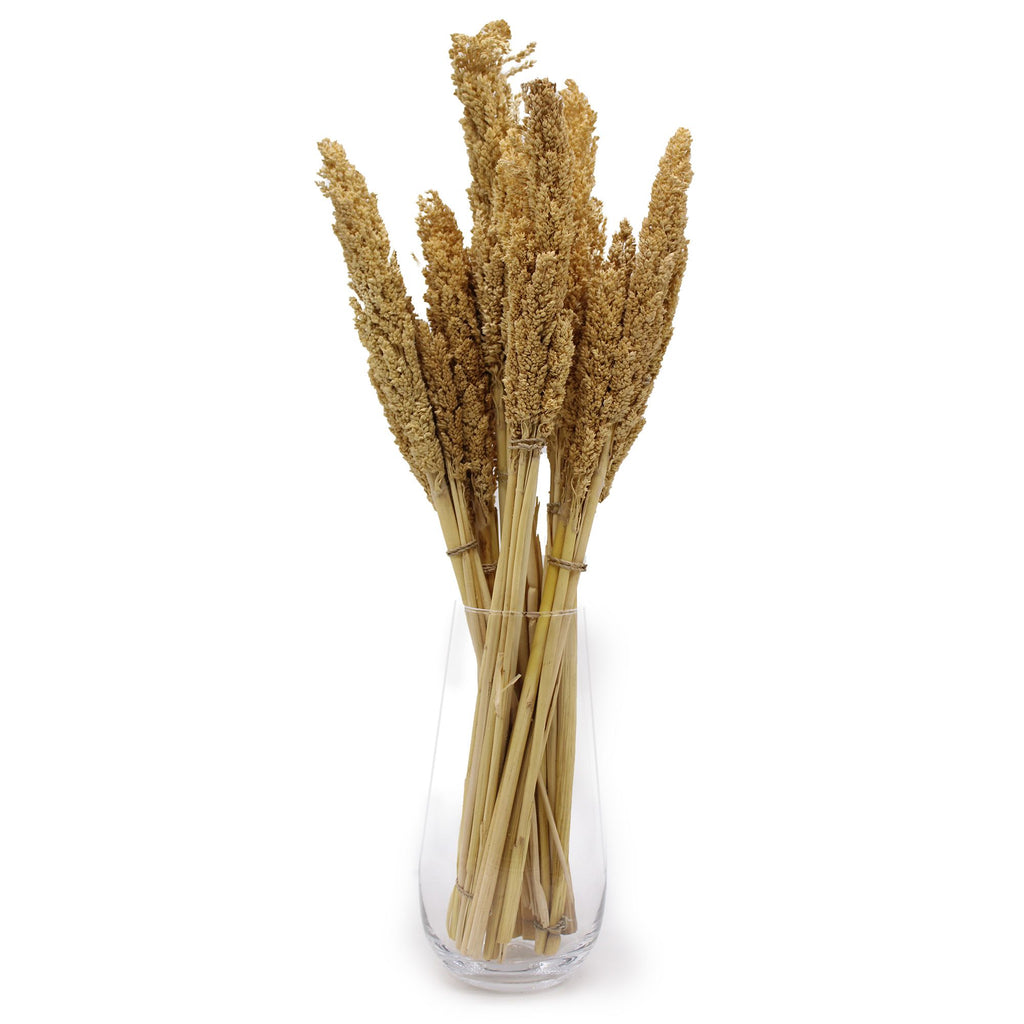 Cantal Grass Bunch - Natural (Set of 6) – view 2