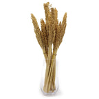 Cantal Grass Bunch - Natural (Set of 6) – view 2