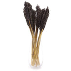 Cantal Grass Bunch - Black (Set of 6) – view 3