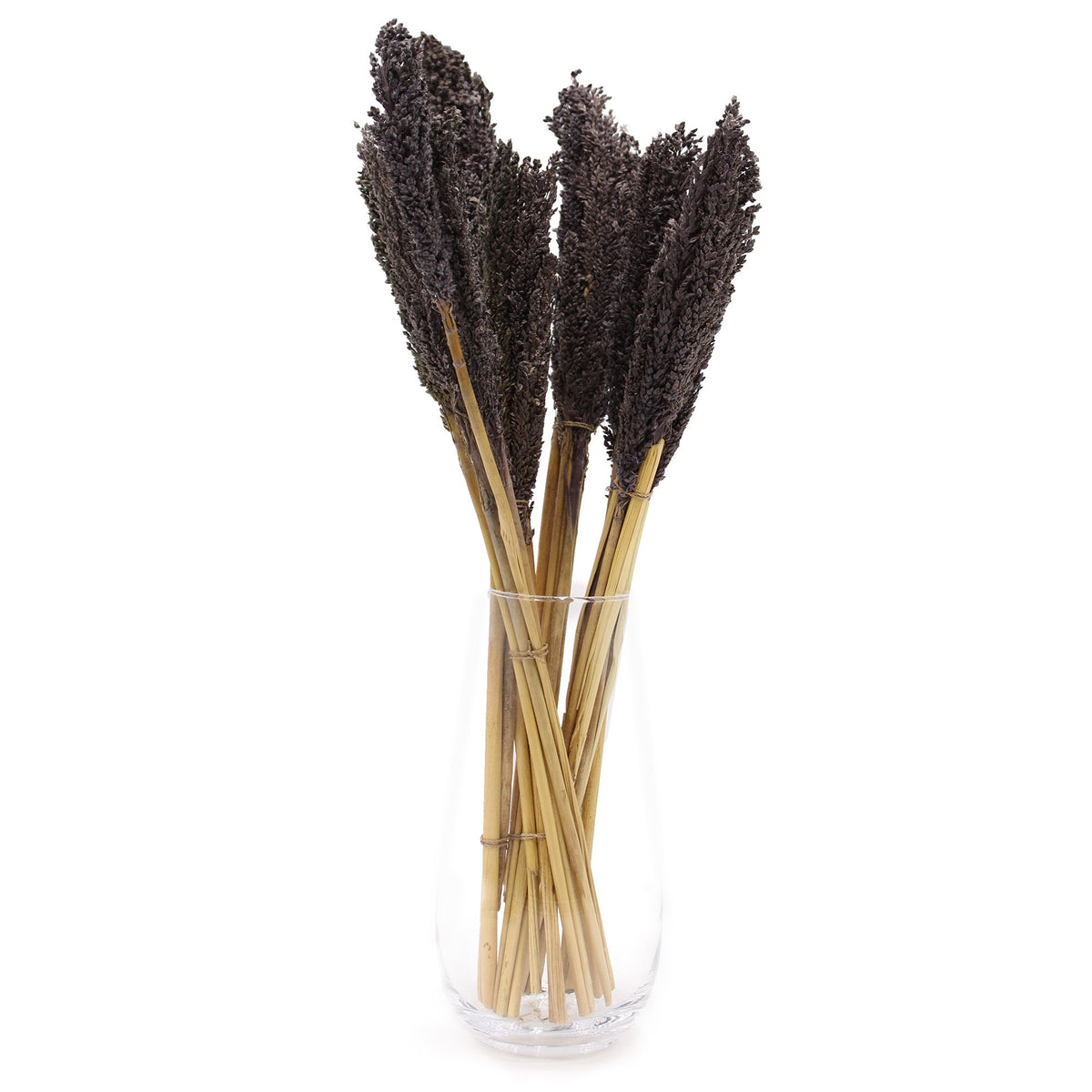 Cantal Grass Bunch - Black (Set of 6) – view 3