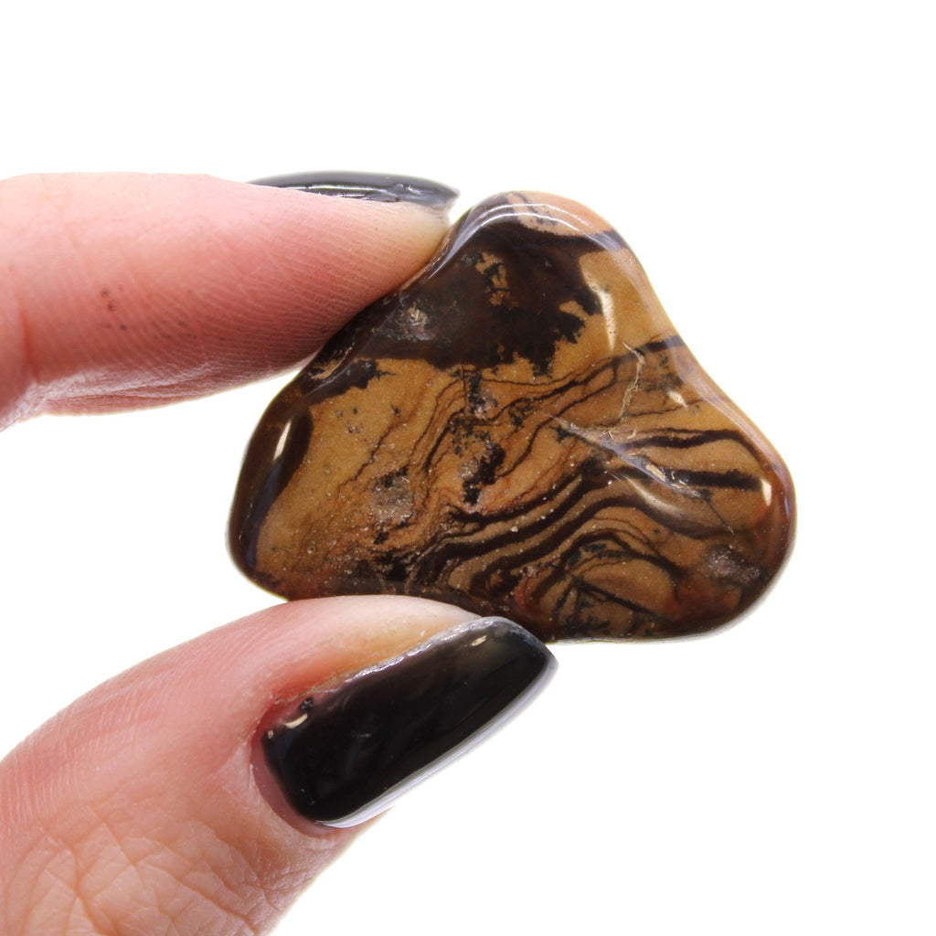 Picture Nguni Jasper Medium Tumble Stones - Bag of 12 – view 2