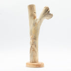 Parasite Wood Carving - Greenman Face – view 4