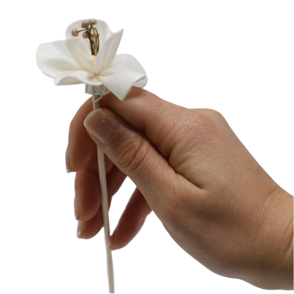 Sola Wood Lily Diffuser Reeds, Set of 4 – view 12