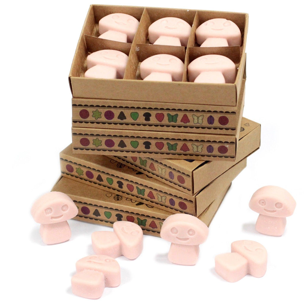 Old Ginger Wax Melts Gift Box of 6 – view 2