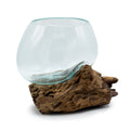 Molten Glass Bowl on Wood - Medium