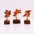 Carnelian Mini Gemstone Tree on Wood Base, 15 Stones – view 5