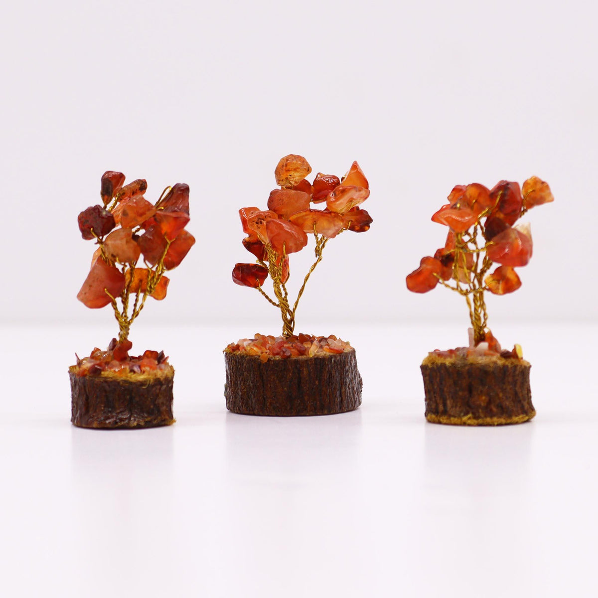 Carnelian Mini Gemstone Tree on Wood Base, 15 Stones – view 5