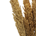 Cantal Grass Bunch - Natural (Set of 6)