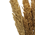 Cantal Grass Bunch - Natural (Set of 6)