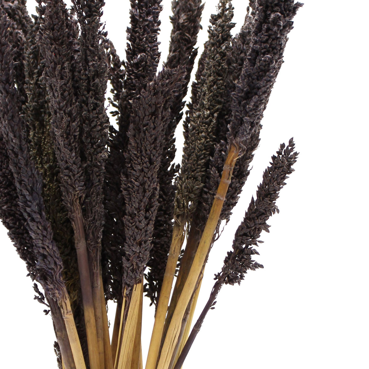 Cantal Grass Bunch - Black (Set of 6) – view 2