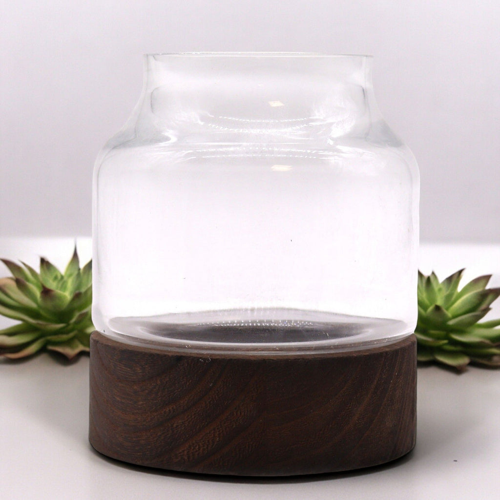 Small Shaped Terrarium, Dark Tung Wood, 12x13cm