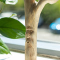 Parasite Wood Carving - Greenman Face