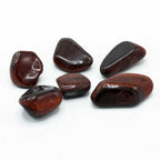 Bag of 6 Large African Tumble Stones - Red Tiger's Eye