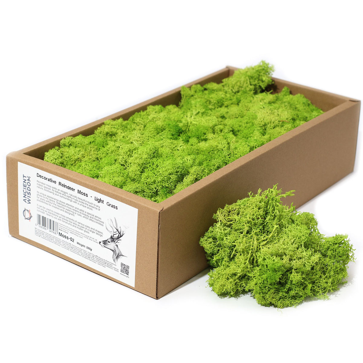 Preserved Reindeer Moss - Light Grass Green - 635 g Box