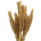 Cantal Grass Bunch - Natural (Set of 6) – view 3