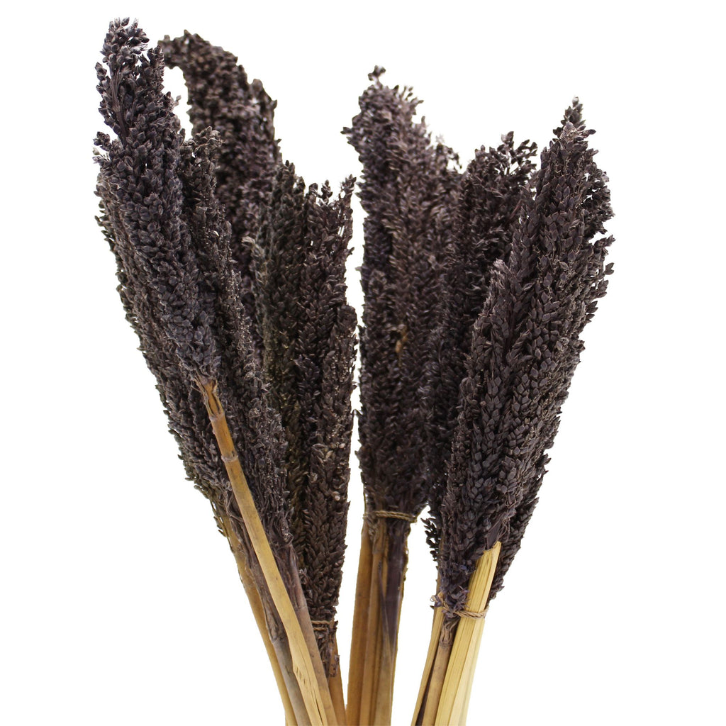 Cantal Grass Bunch - Black (Set of 6) – view 7