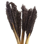 Cantal Grass Bunch - Black (Set of 6) – view 7